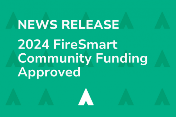 Village Awarded $32,000 for Community Wildfire Resiliency Plan