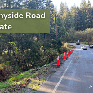 Sunnyside Road Update